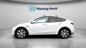 Tesla Model Y ALL MODELS