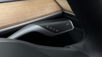 Tesla Model 3 ALL MODELS