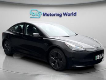 Tesla Model 3 ALL MODELS