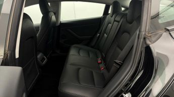 Tesla Model 3 ALL MODELS
