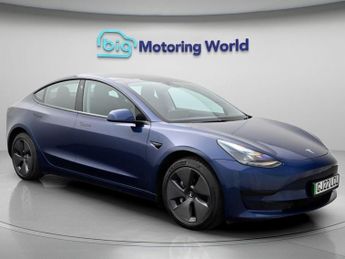 Tesla Model 3 ALL MODELS
