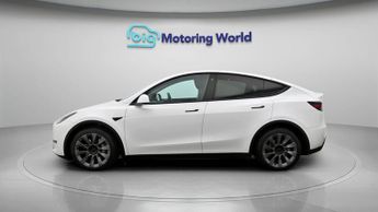 Tesla Model Y ALL MODELS