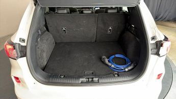 Ford Kuga VIGNALE