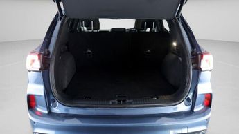Ford Kuga VIGNALE