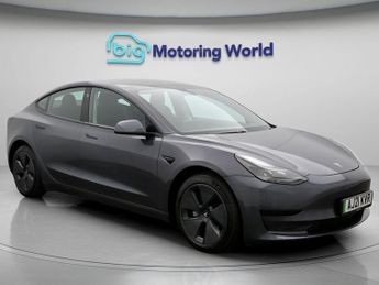 Tesla Model 3 ALL MODELS