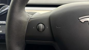 Tesla Model 3 ALL MODELS