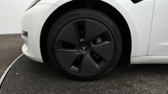 Tesla Model 3 ALL MODELS