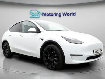 Tesla Model Y ALL MODELS