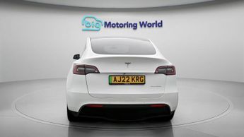 Tesla Model Y ALL MODELS
