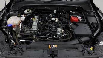 Ford Focus ACTIVE EDITION