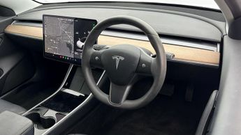 Tesla Model 3 ALL MODELS
