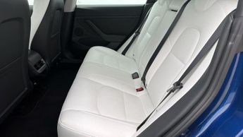 Tesla Model 3 ALL MODELS