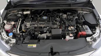 Toyota Corolla ICON