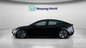 Tesla Model 3 ALL MODELS