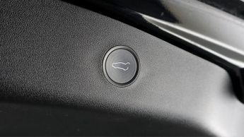 Tesla Model 3 ALL MODELS