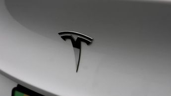 Tesla Model Y ALL MODELS