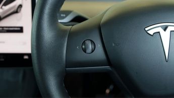Tesla Model Y ALL MODELS