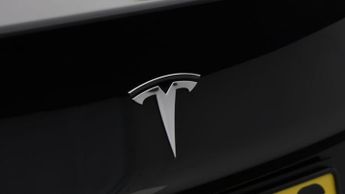 Tesla Model 3 ALL MODELS