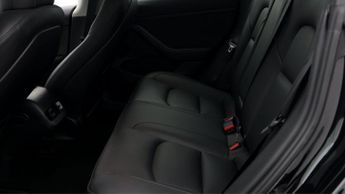 Tesla Model 3 ALL MODELS