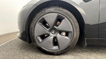 Tesla Model 3 ALL MODELS