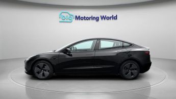 Tesla Model 3 ALL MODELS