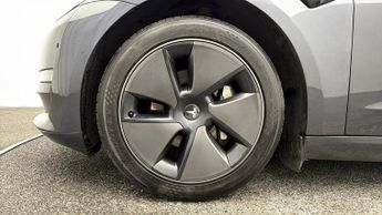 Tesla Model 3 ALL MODELS