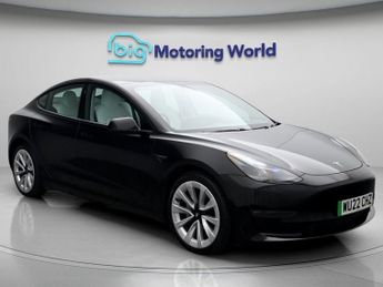 Tesla Model 3 ALL MODELS