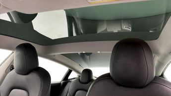Tesla Model 3 ALL MODELS