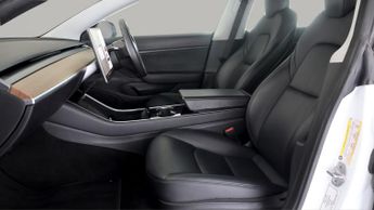 Tesla Model 3 ALL MODELS