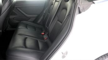 Tesla Model 3 ALL MODELS