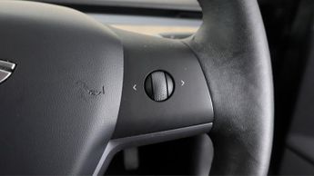 Tesla Model 3 ALL MODELS