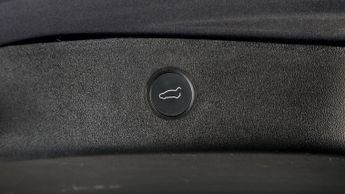 Tesla Model 3 ALL MODELS