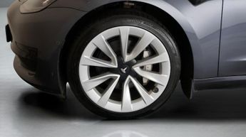 Tesla Model 3 ALL MODELS