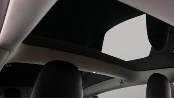 Tesla Model 3 ALL MODELS
