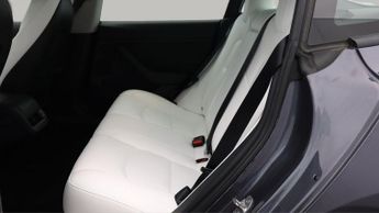 Tesla Model 3 ALL MODELS