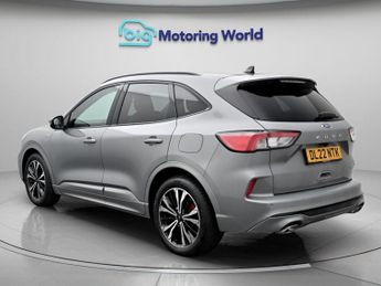 Ford Kuga ST-LINE X EDITION