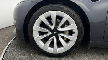Tesla Model 3 ALL MODELS