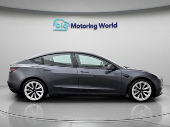 Tesla Model 3 ALL MODELS