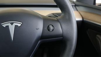 Tesla Model Y ALL MODELS