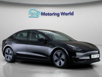 Tesla Model 3 ALL MODELS