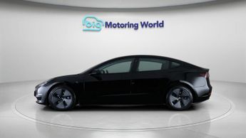 Tesla Model 3 ALL MODELS
