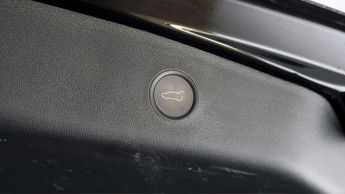Tesla Model 3 ALL MODELS