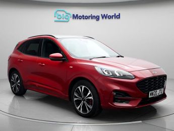 Ford Kuga ST-LINE X FIRST EDITION ECOBLUE