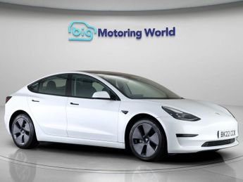 Tesla Model 3 ALL MODELS