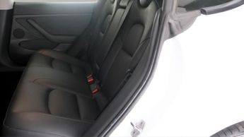Tesla Model 3 ALL MODELS
