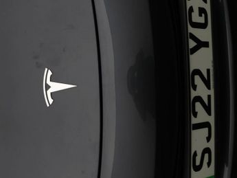 Tesla Model 3 ALL MODELS
