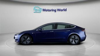 Tesla Model 3 ALL MODELS