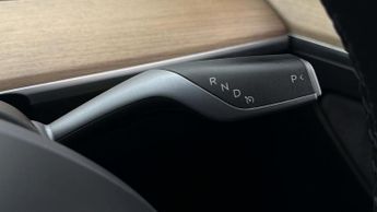 Tesla Model Y ALL MODELS