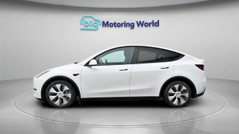 Tesla Model Y ALL MODELS