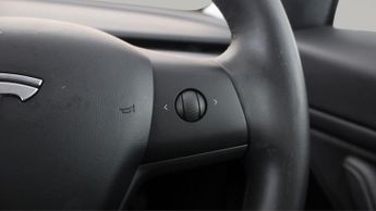 Tesla Model 3 ALL MODELS